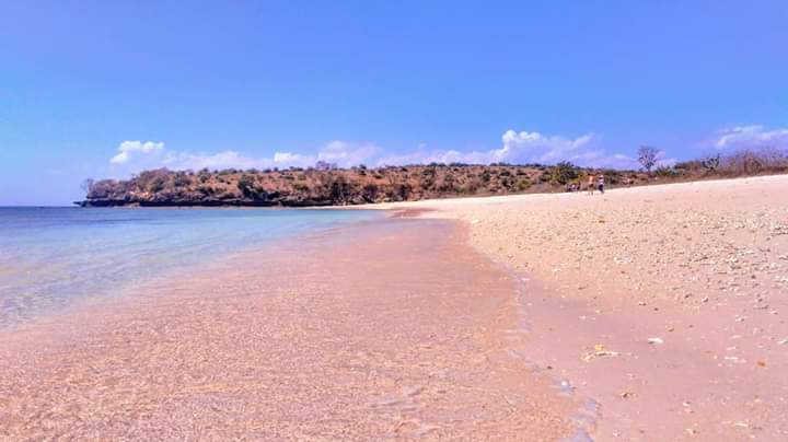 Blushing pink sand shoreline