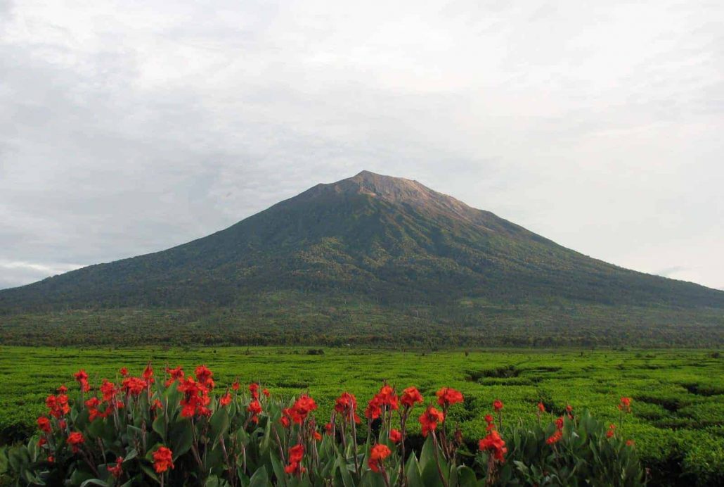 kerinci