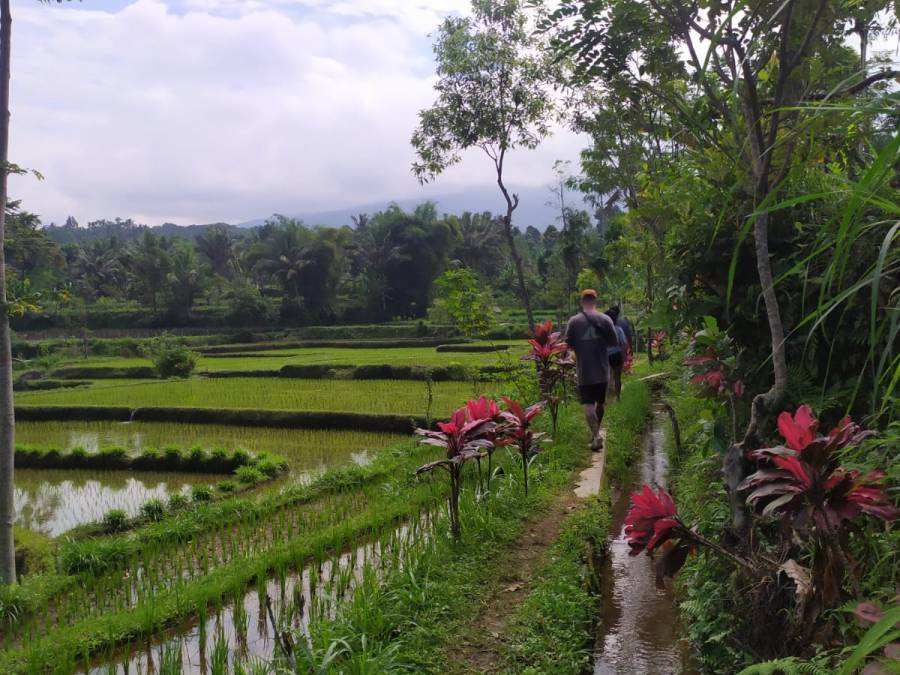 Day Tour In Tetebatu Village Lombok