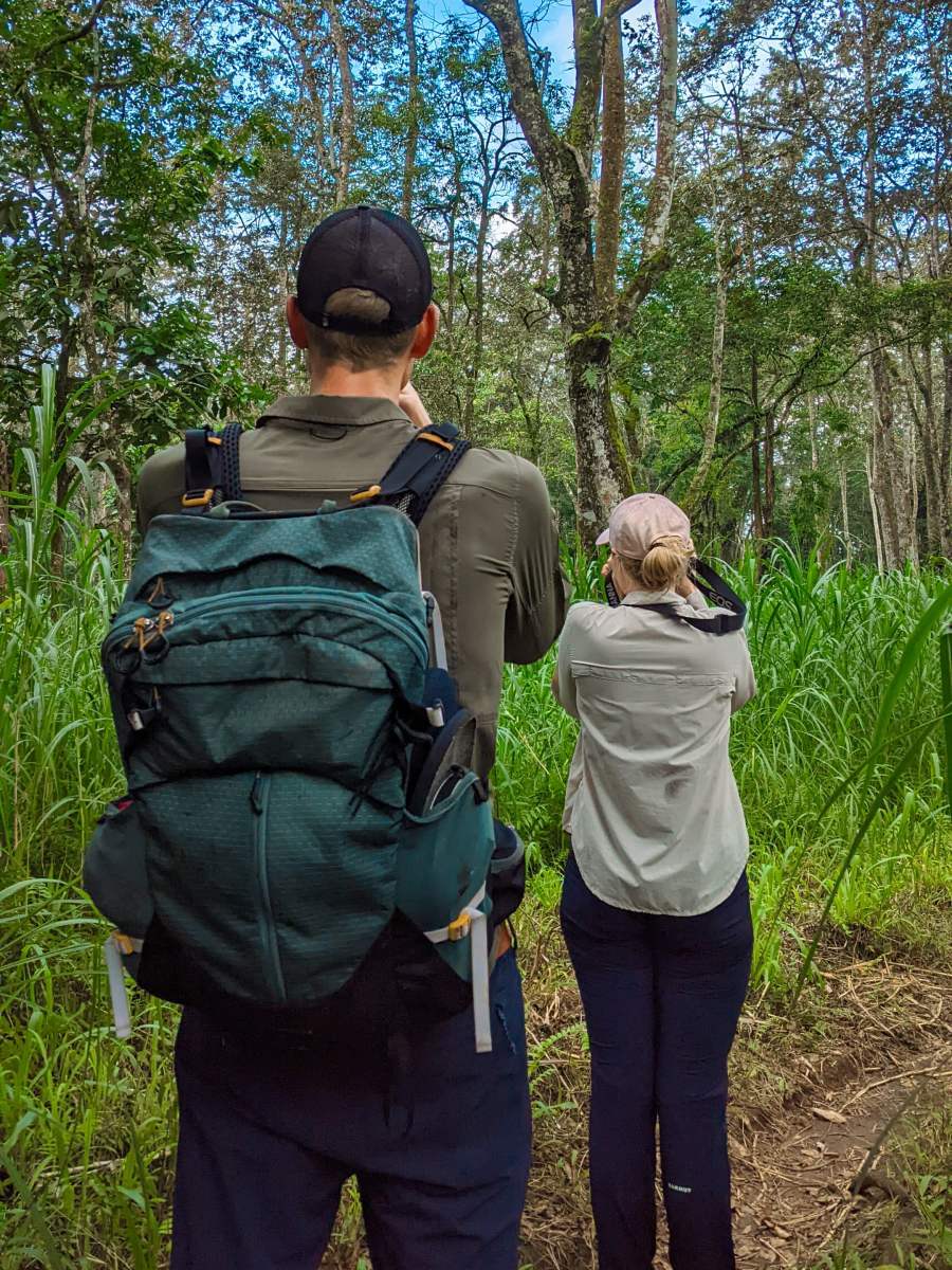2 Days 1 Night Tetebatu Jungle Trek Mayung Polak Waterfall